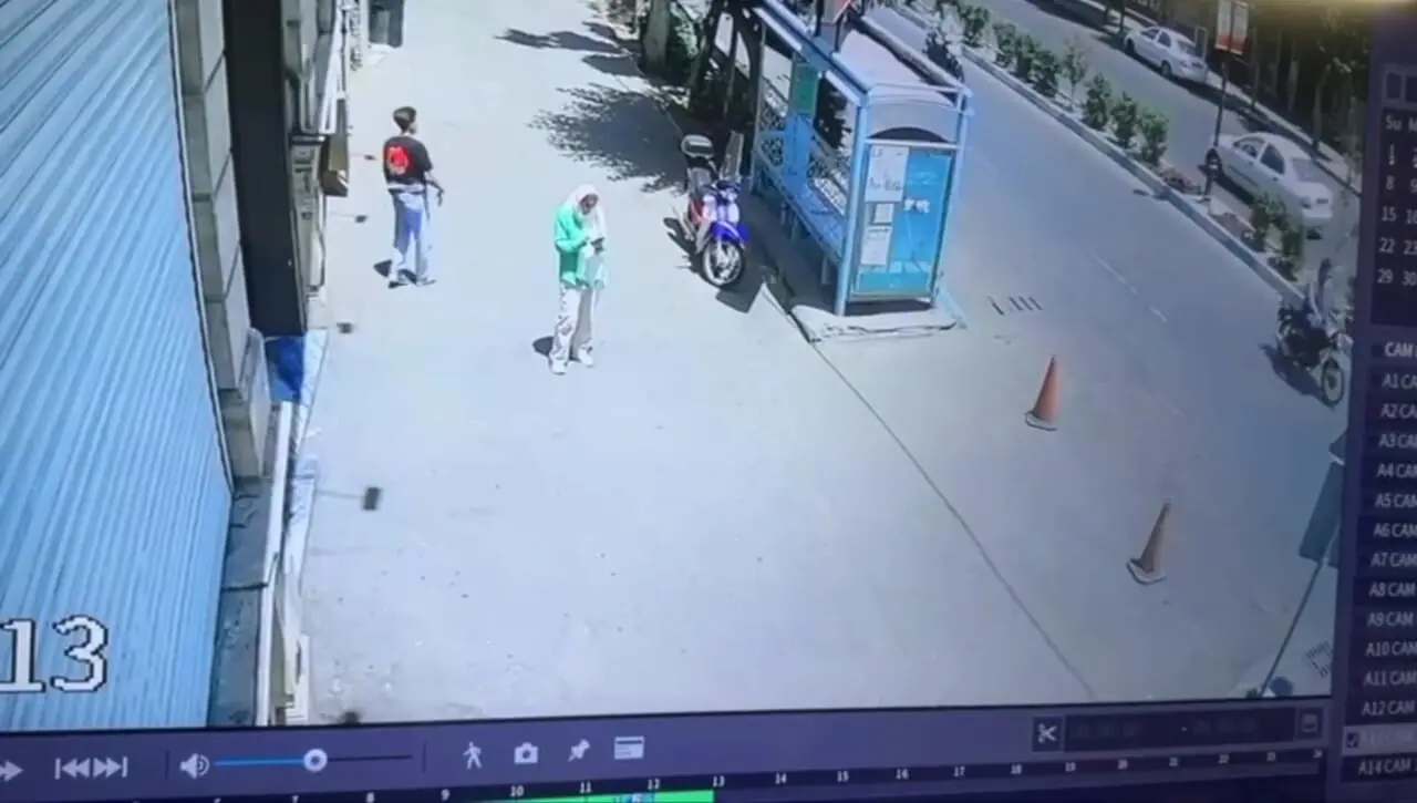 ببینید؛ سارقان به‌عنف جنوب تهران زمین‌گیر شدن