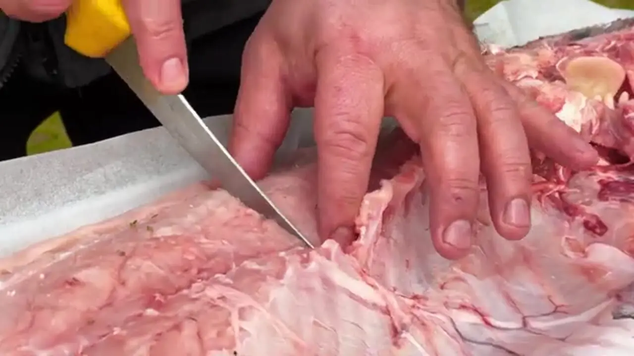 ببینید| غذای روستایی در آذربایجان؛ کباب ماهی کپور نقره ای  بزرگ با سبزی های معطر