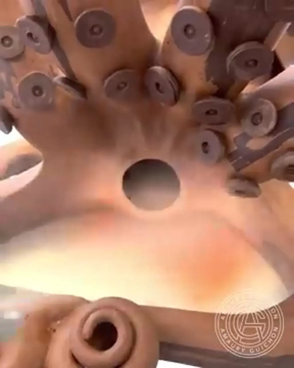 ببینید| ساخت ماهی مرکب با 43 کیلوگرم شکلات خالص به روش قناد آمریکایی