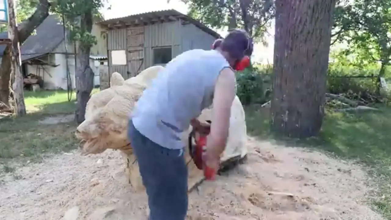 ببینید| مراحل دیدنی ساخت مجسمه خرس گریزلی چوبی در اندازه واقعی با اره برقی 