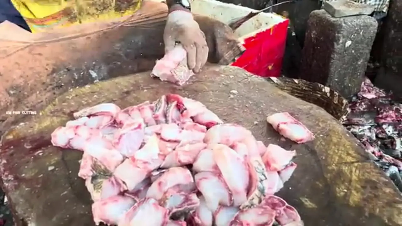 مهارت دیدنی ماهی فروش هندی در برش زدن ماهی کورالی بزرگ