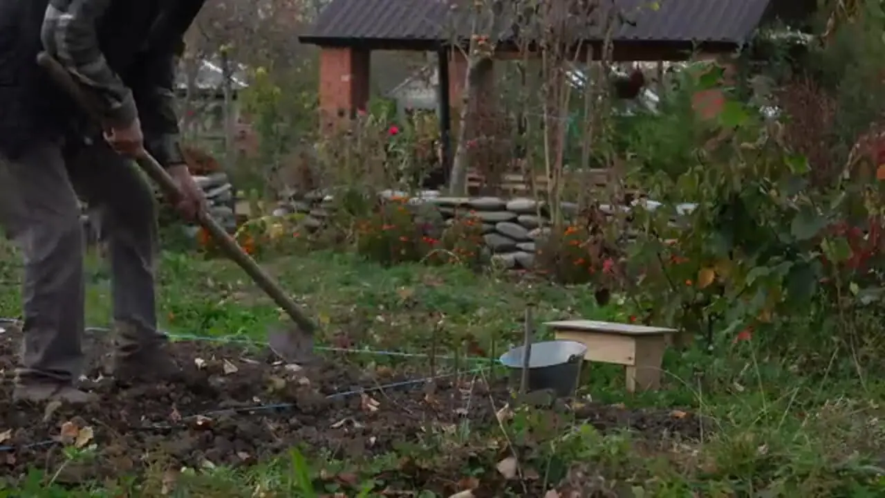 ببینید| غذای روستایی در آذربایجان؛ پخت سمبوسه خانگی توسط مادربزرگ روستایی