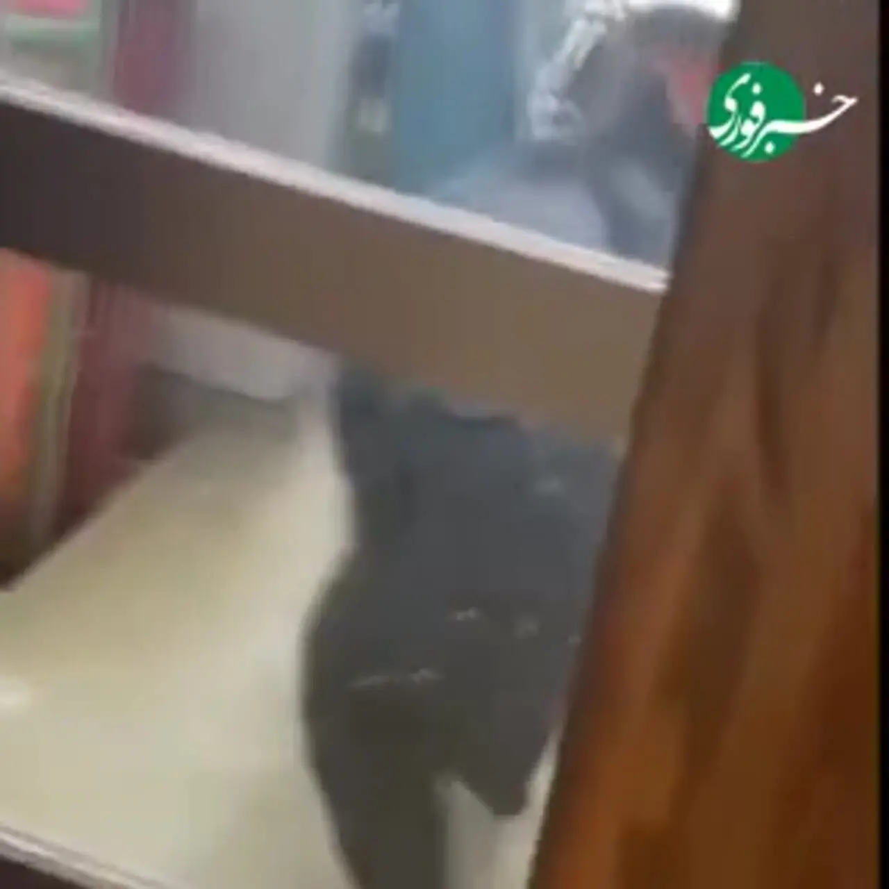 ببینید؛ استقرار نیروهای ارتش ژاپن برای جنگ با خرس‌ها