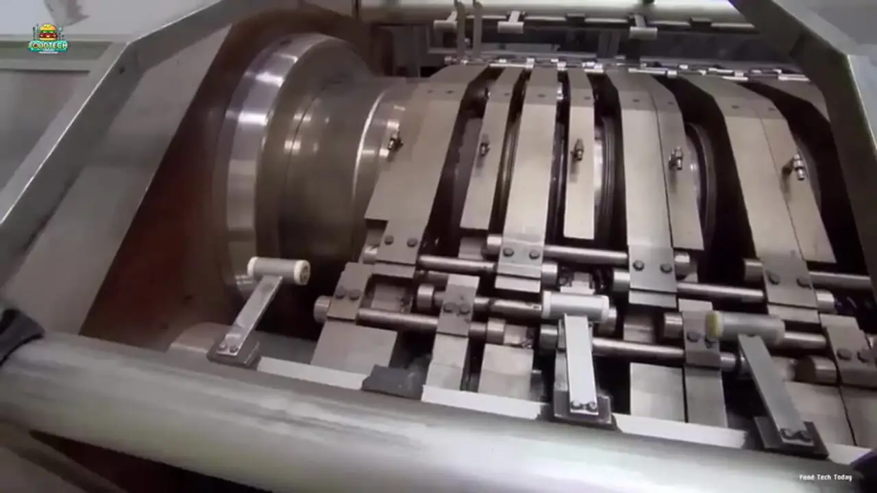 مراحل تماشایی تولید انبوه تخم مرغ شانسی در آلمان