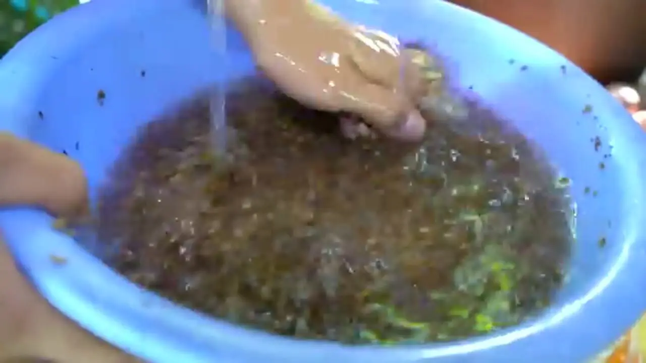 غذای روستایی در چین؛ پخت یک غذای خاص با سفره ماهی، دوریان و ماهی ماکرل