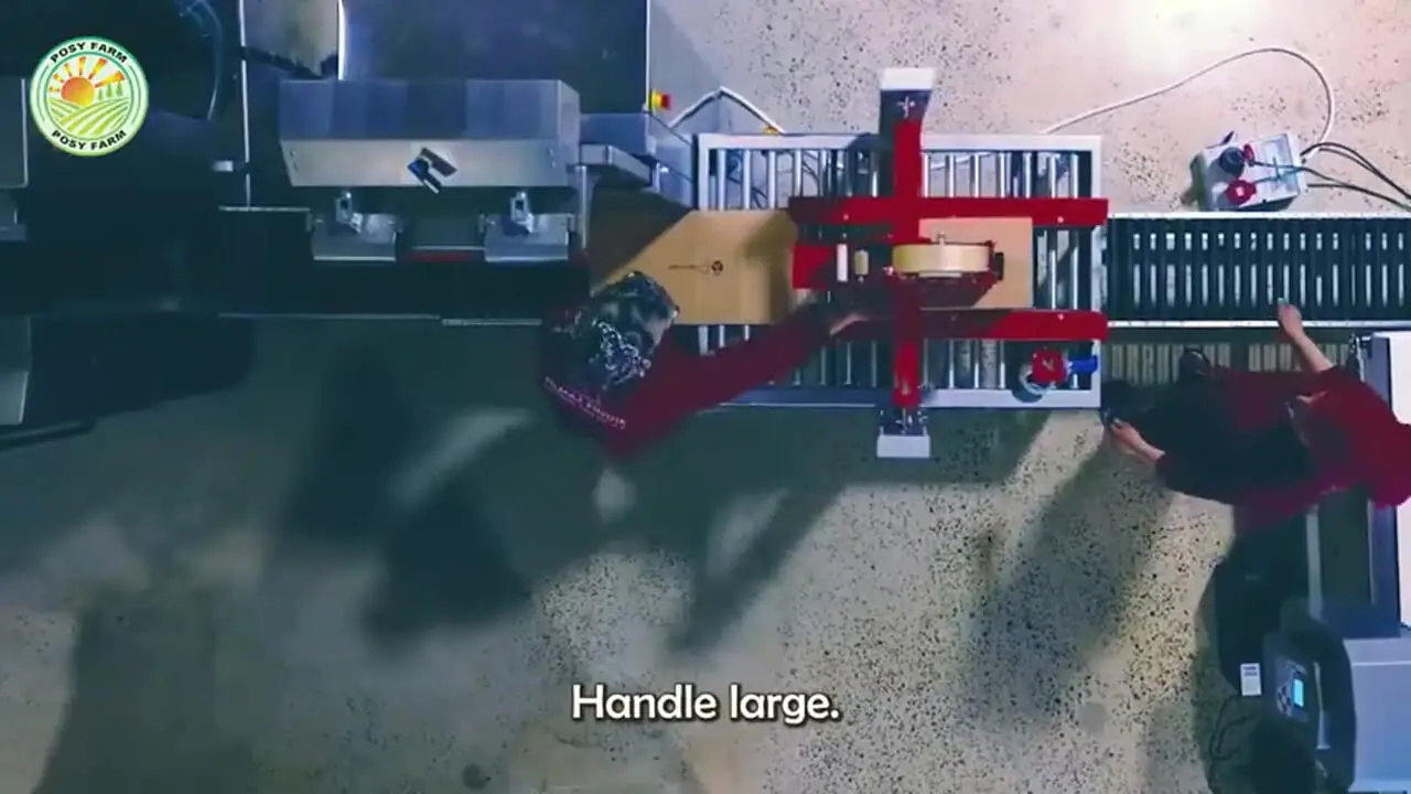 چگونه کشاورزان آمریکایی صدها تن فندق را برداشت و فرآوری می کنند؟