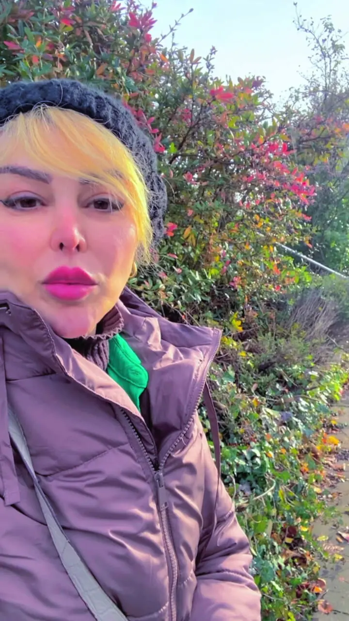 سفر در زمان؛ چهره «نسرین» 21 سال بعد سریال خانه به دوش در آلمان