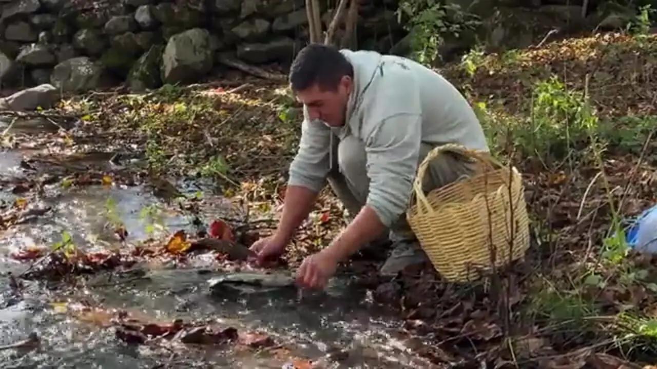 غذای روستایی در آذربایجان؛ صید ماهی و کباب کردن آن در جنگل