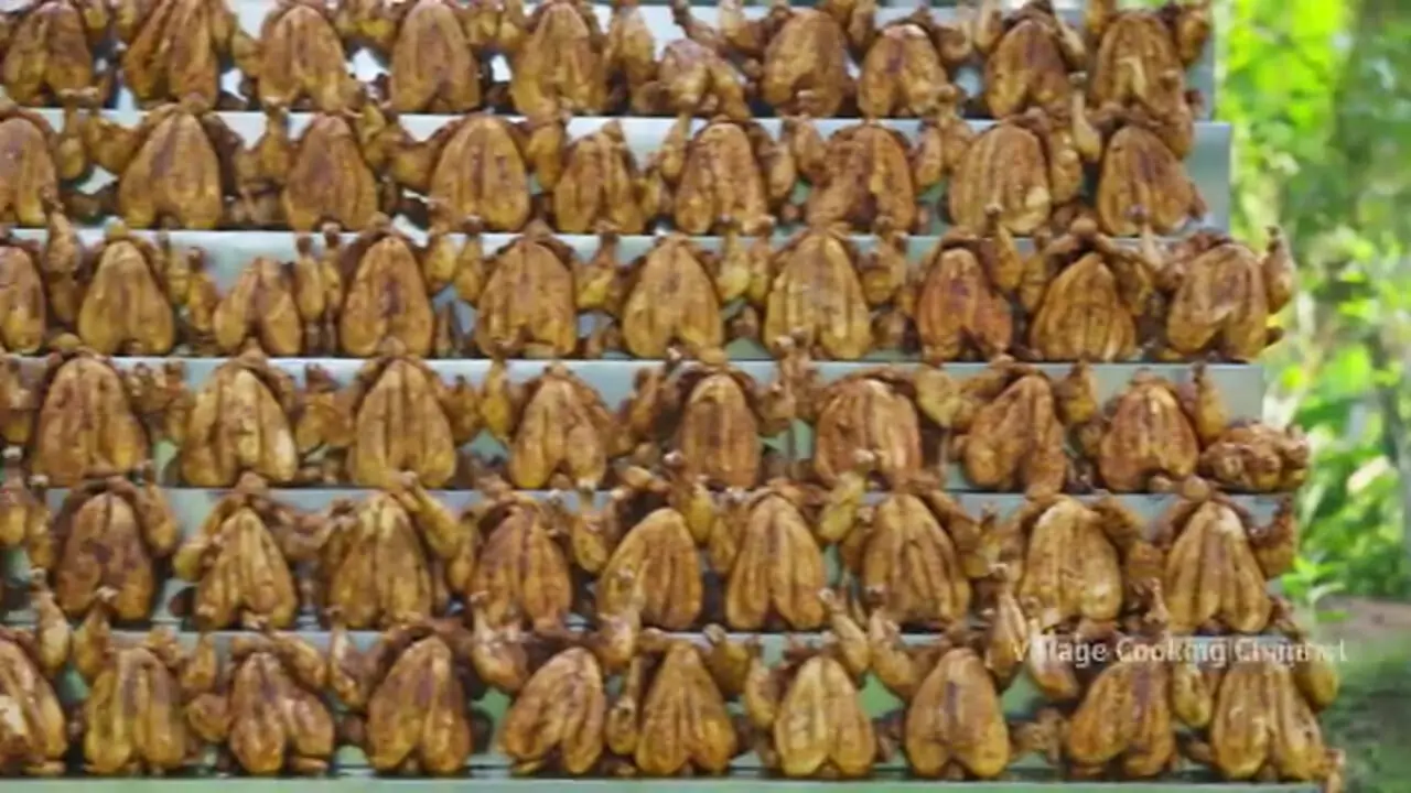 غذای روستایی در هند؛ کباب ده ها مرغ کامل به روشی متفاوت در طبیعت