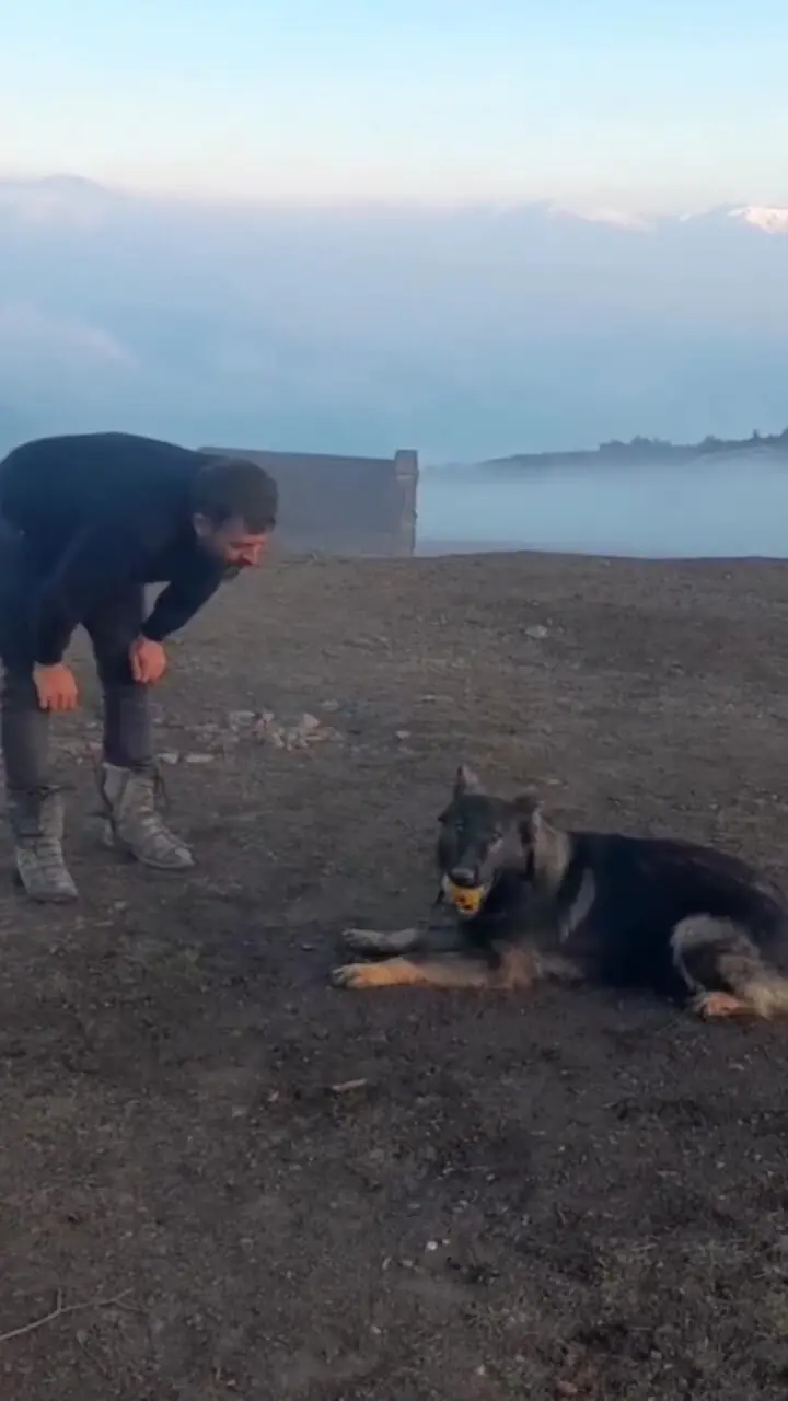 عکس| سفر در زمان؛ «یوزارسیف» در حال آموزش دادن یک سگ؛ سال 1402