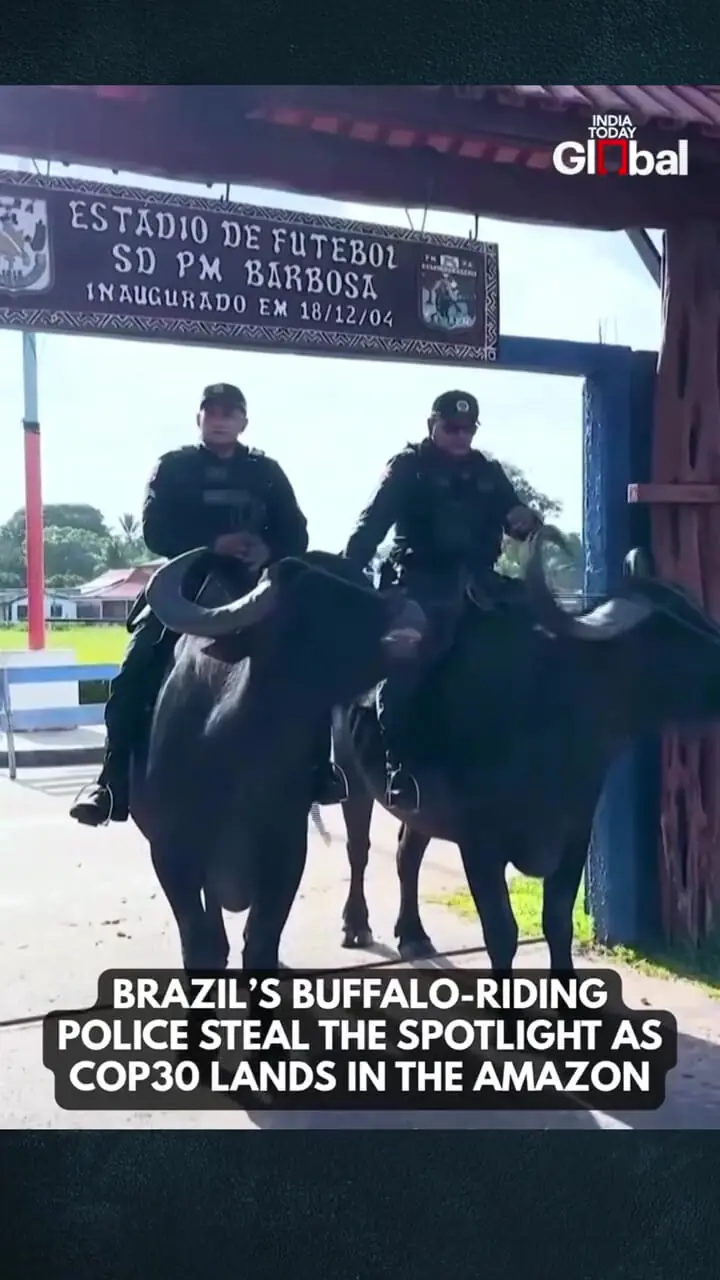 پلیس‌های گاومیش‌سوار