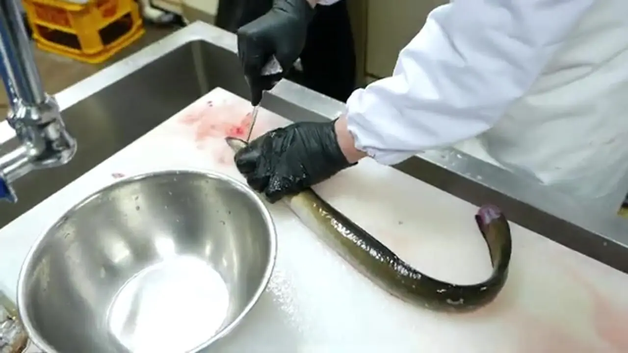 غذای خیابانی در ژاپن؛ تهیه برگر و سوشی با مارماهی در اوکیناوا