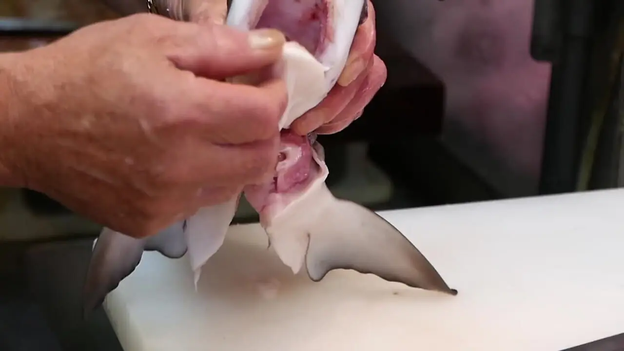 غذای خیابانی در ژاپن؛ تهیه دو نوع غذا با کوسه در توکیو