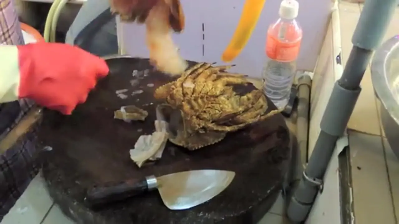 غذای خیابانی در تایوان؛ تهیه ساشیمی با لابستر در تایپه