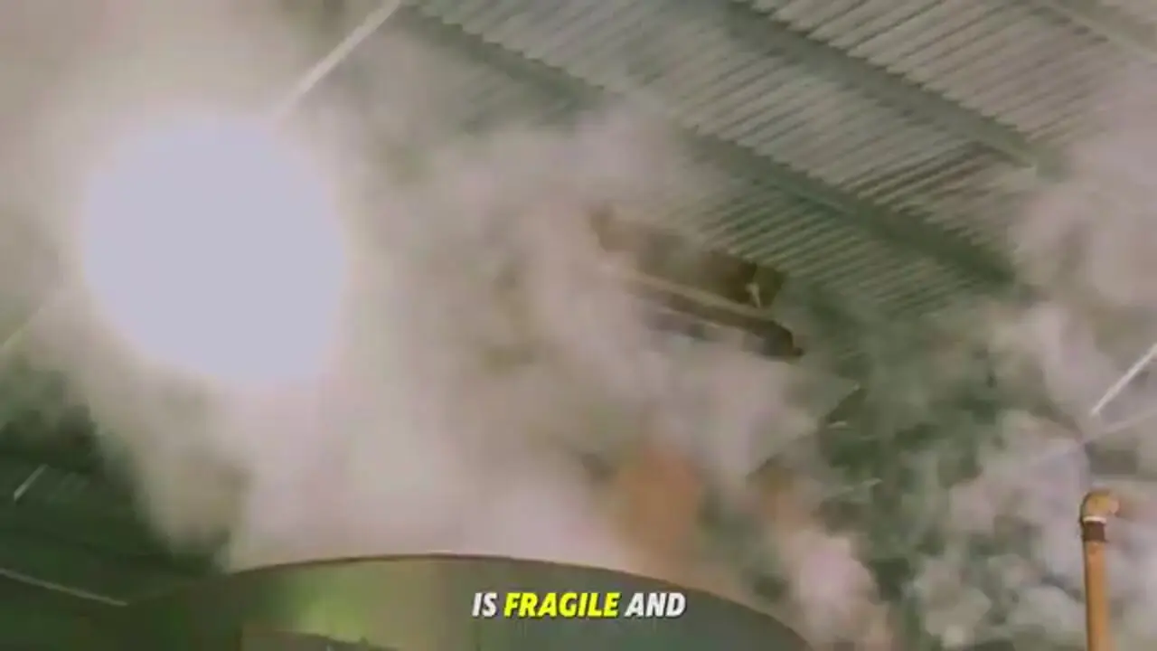 ببینید| چگونه چینی ها بادام زمینی را برداشت و فرآوری می کنند؟