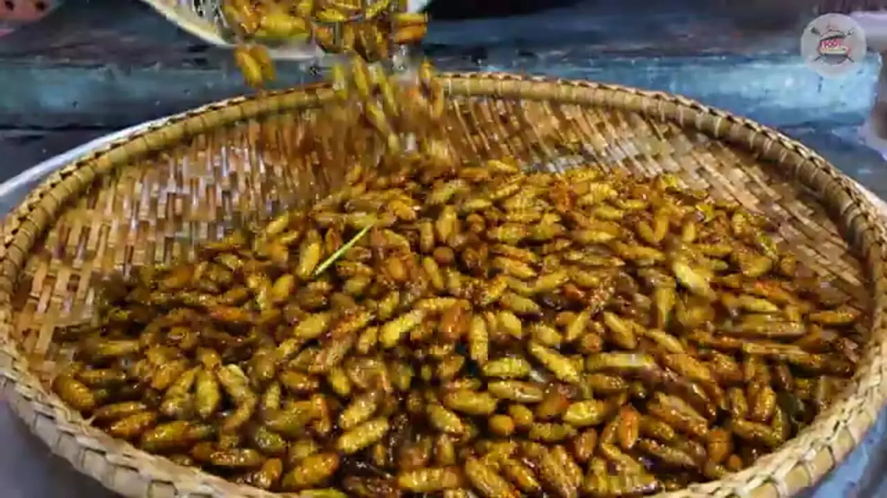 غذای روستایی در سنگاپور؛ پخت یک غذای سنتی با کرم ابریشم و سبزیجات