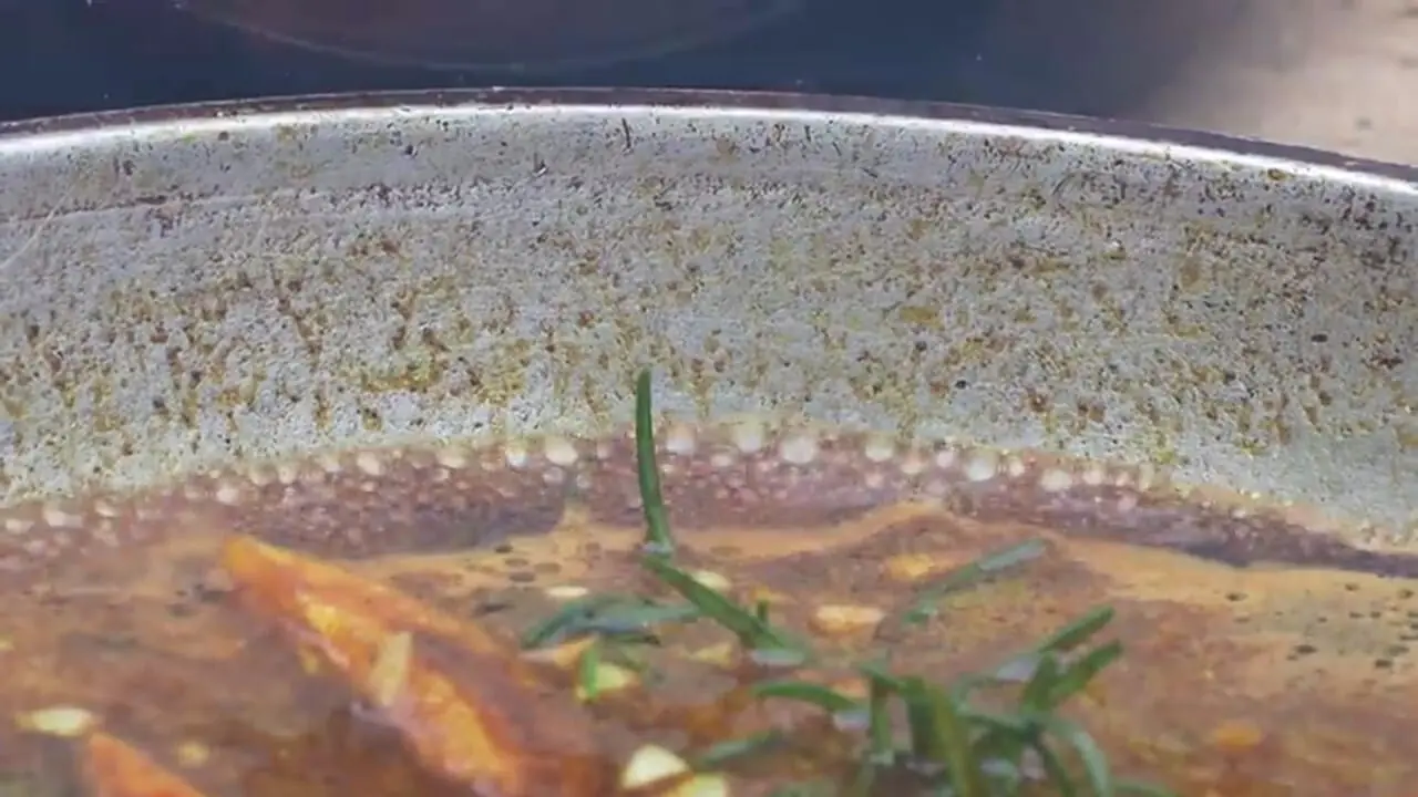 غذای روستایی در ایران؛ کباب مرغابی به همراه پوره سیب زمینی