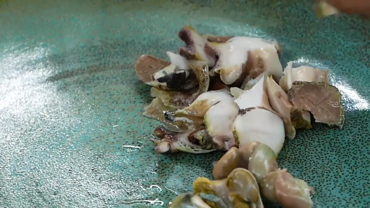 غذای خیابانی در کره؛ پخت یک غذای خاص با حلزون و جلبک دریایی در سئول