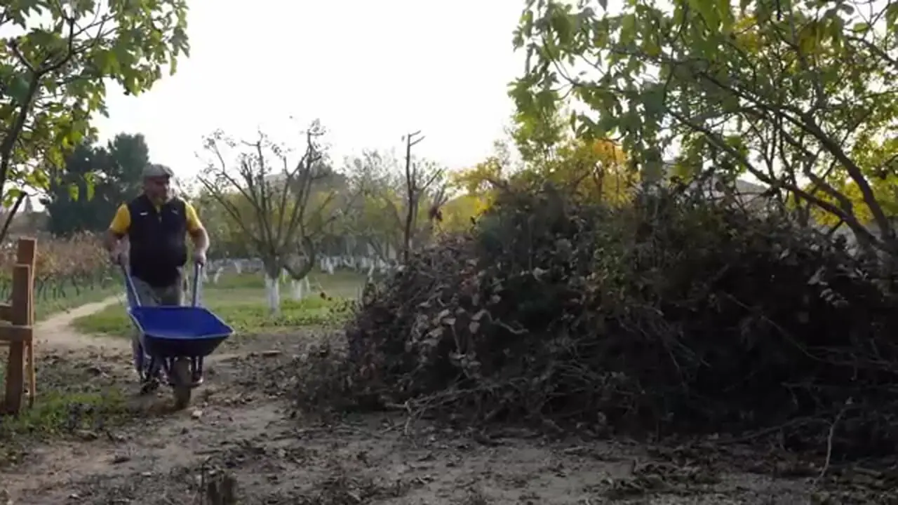 غذای روستایی در آذربایجان؛ پخت استیک روی آتش در طبیعت