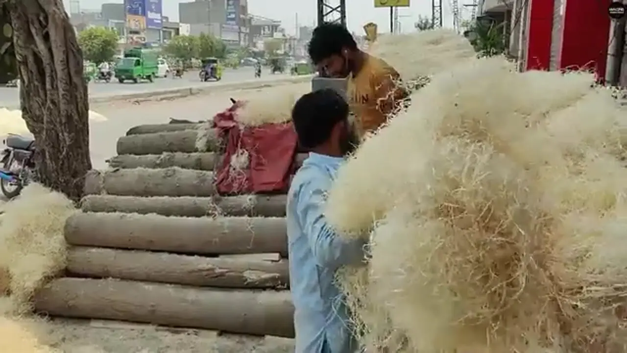 ببینید| مراحل تولید انبوه پوشال کولر آبی در کارگاهی در پاکستان