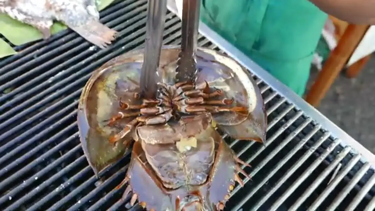 ببینید| غذای خیابانی در تایلند؛ خرچنگ نعل اسبی کبابی با سبزیجات در بانکوک