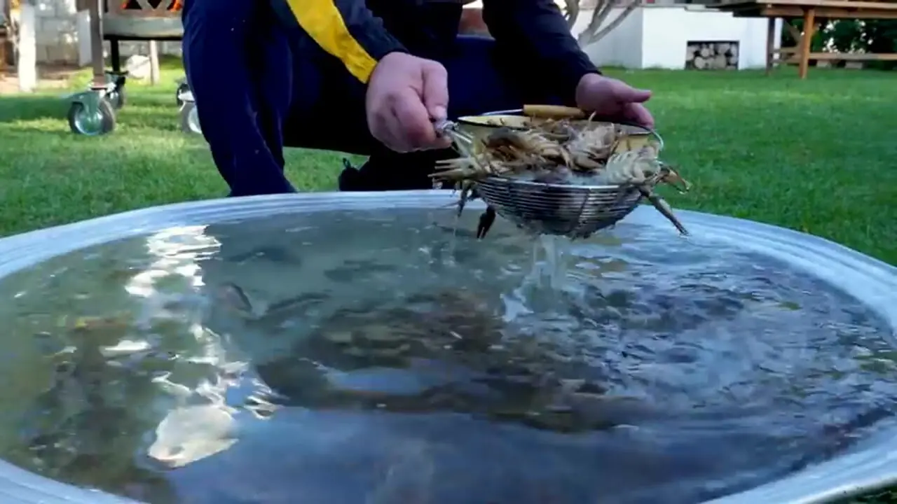 غذای روستایی در آذربایجان؛ صید خرچنگ از رودخانه و پخت غذا آن با ذرت