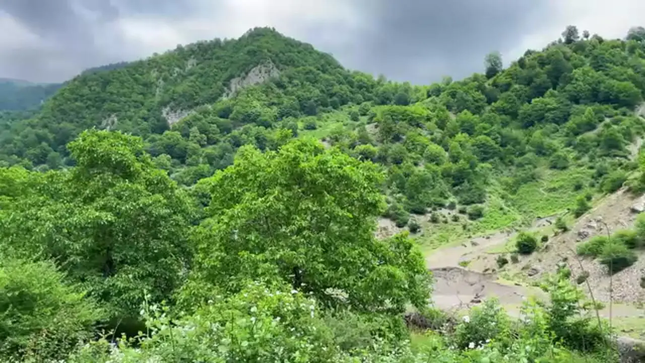 ببینید| غذای روستایی در آذربایجان؛ کباب کردن 12 مرغ به روشی خلاقانه و جالب