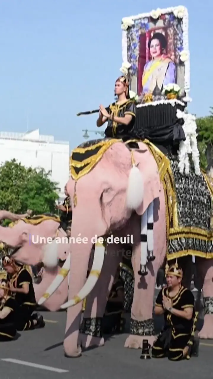 رژه فیل‌های صورتی در تایلند برای ادای احترام به ملکه مادر