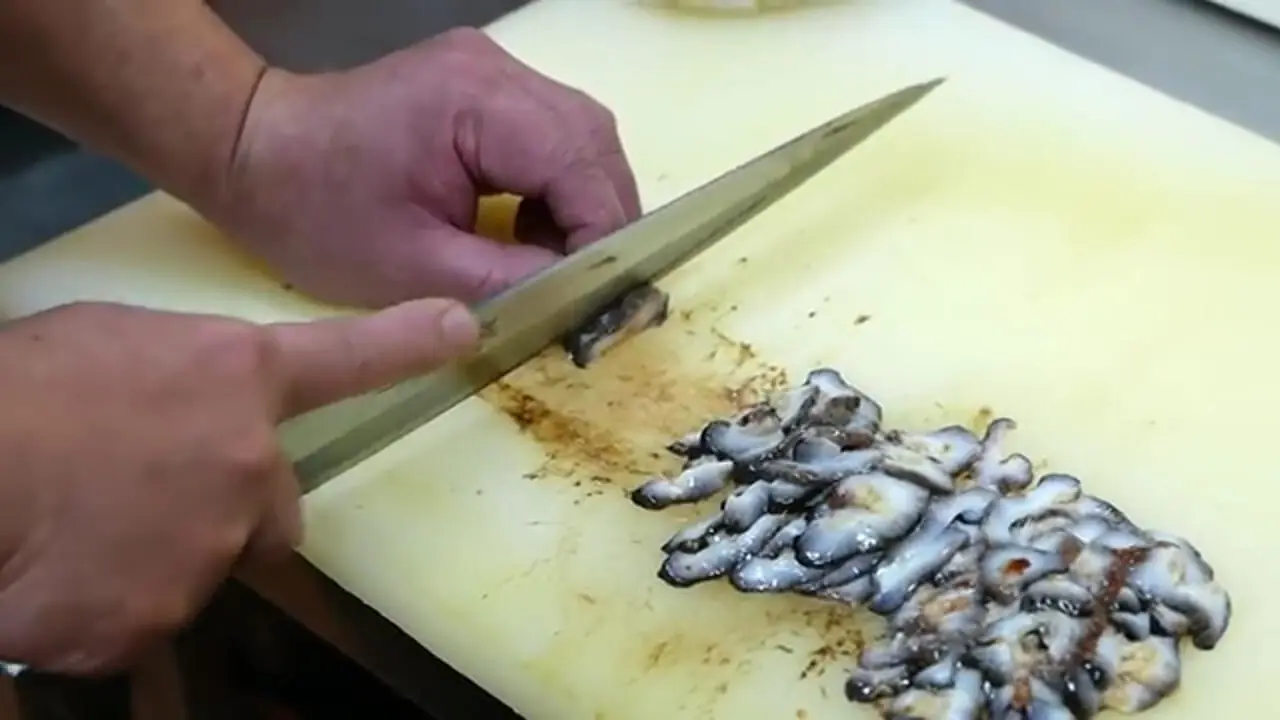 غذای خیابانی در ژاپن؛ تهیه دو نوع غذا با خیار دریایی قرمز در توکیو