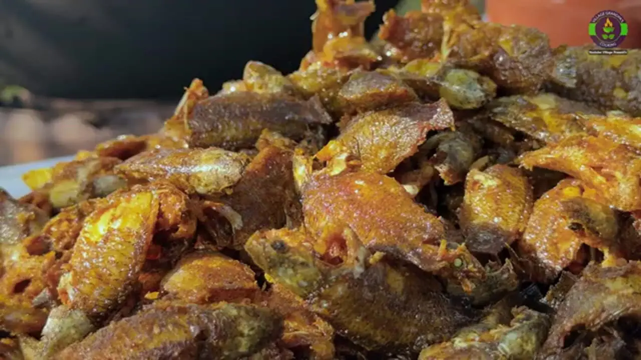 غذای روستایی در هند؛ پخت خورشت کاری با 200 عدد ماهی کوی در روستا