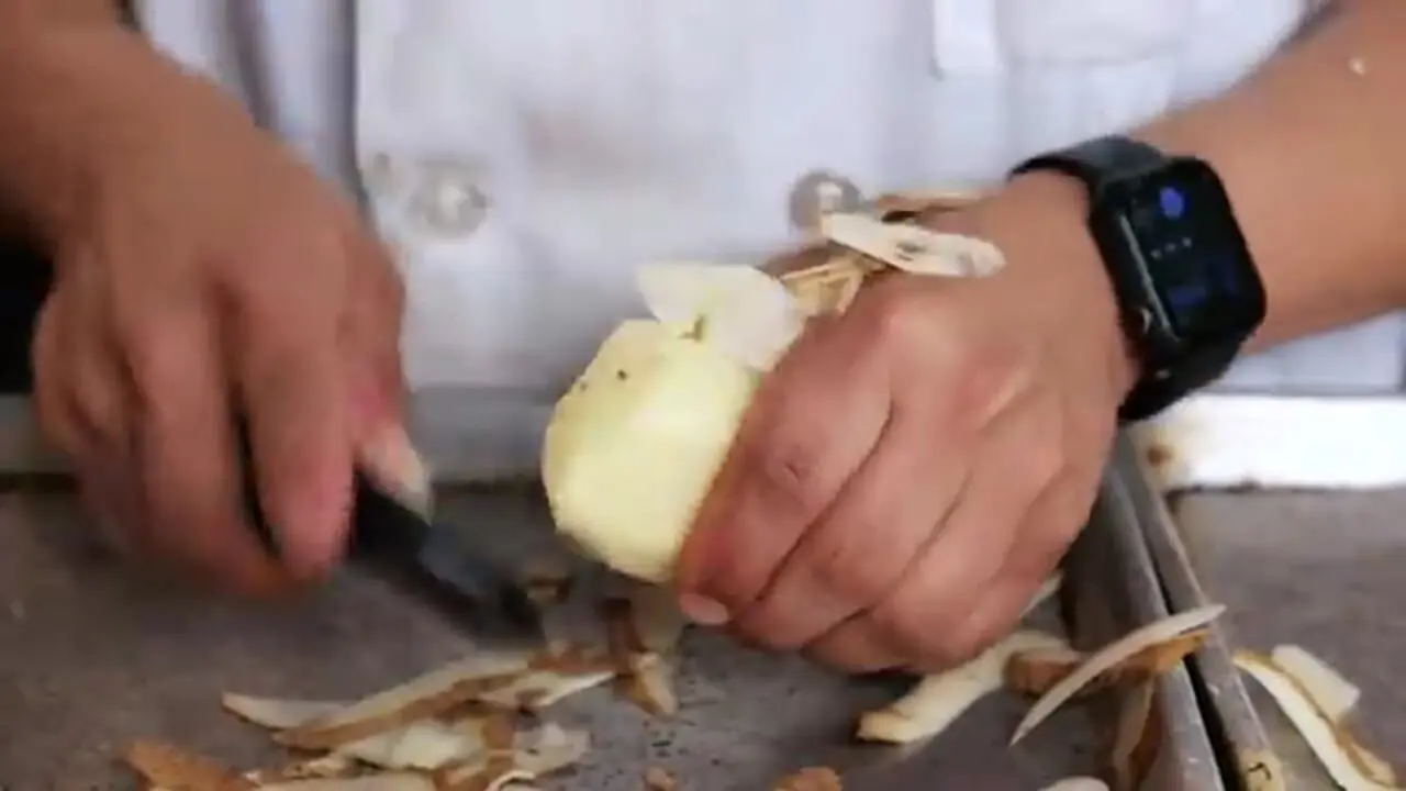 ببینید| غذای خیابانی در آمریکا؛ مرغ سوخاری و استیک تارتار در نیویورک