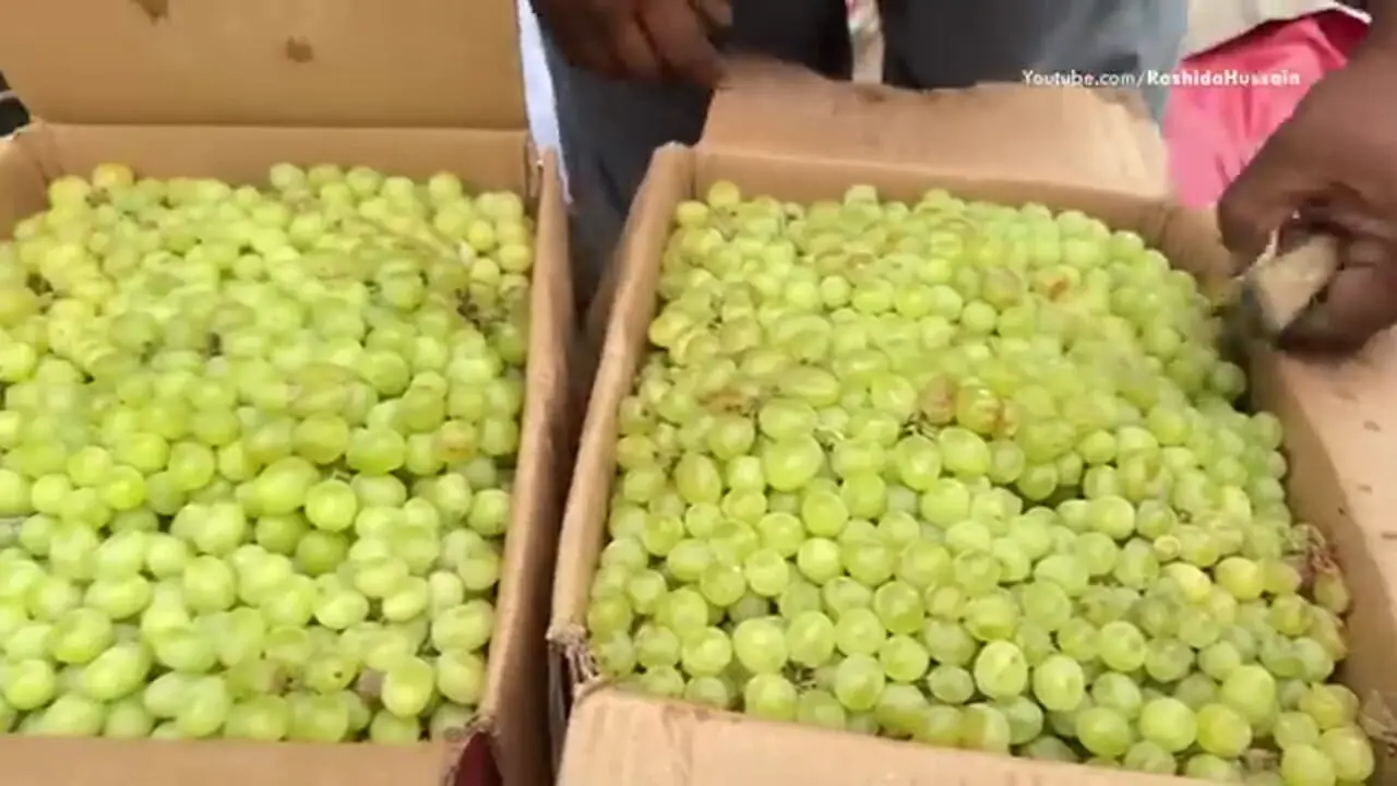 غذای خیابانی در پاکستان؛ تهیه میلک شیک انگور در پیشاور