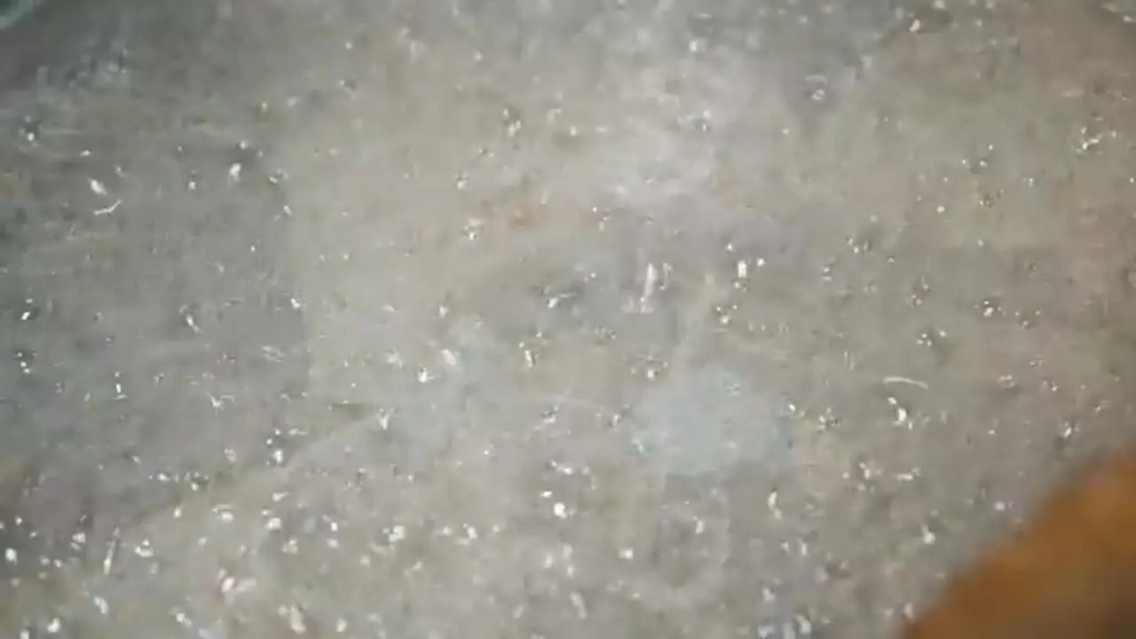 غذای خیابانی در نیوزیلند؛ پای استیک، ماهی و چیپس و خوراک گوشت بره در اوکلند