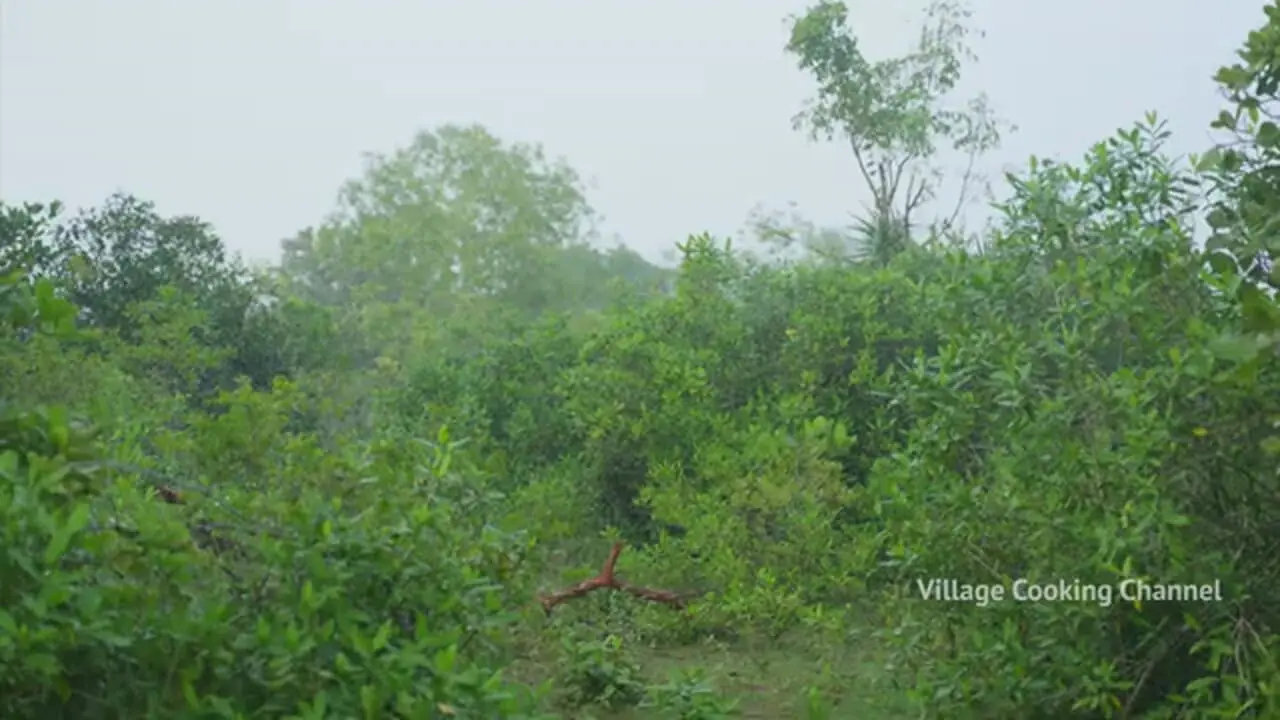 غذای روستایی در هند؛ پخت کاری با مرغ و سبزیجات در طبیعت روستا