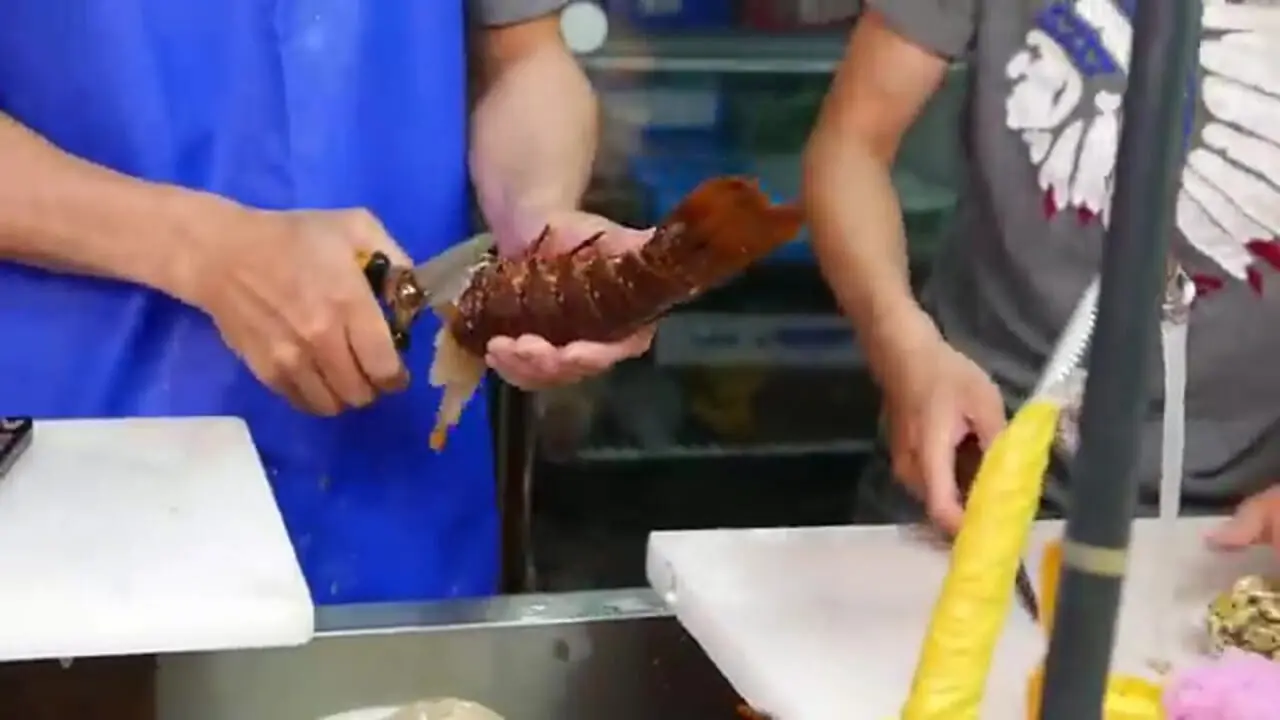 ببینید| غذای خیابانی در ژاپن؛ تهیه ساشیمی با لابستر، صدف، ماهی تن و ماهی بادکنکی سمی در اوکیناوا