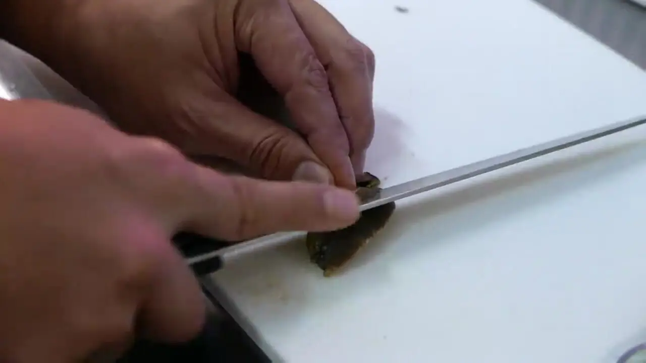 ببینید| غذای خیابانی در ژاپن؛ پخت غذا با حلزون دریایی غول پیکر در اوکیناوا