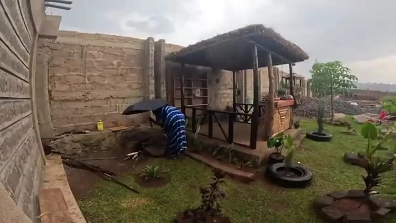 غذای روستایی در کنیا؛ ماهی تیلاپیای سرخ شده با برنج و سبزیجات معطر