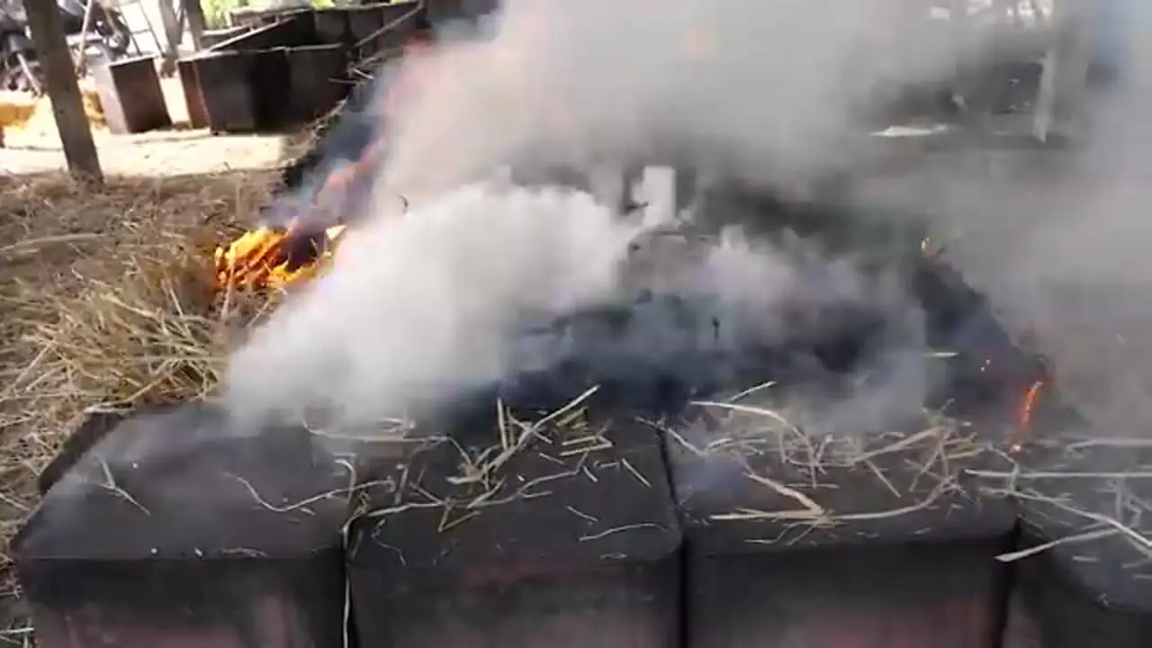 غذای خیابانی در تایلند؛ کباب کردن مرغ کامل در زیر کاه در ناخن پاتوم