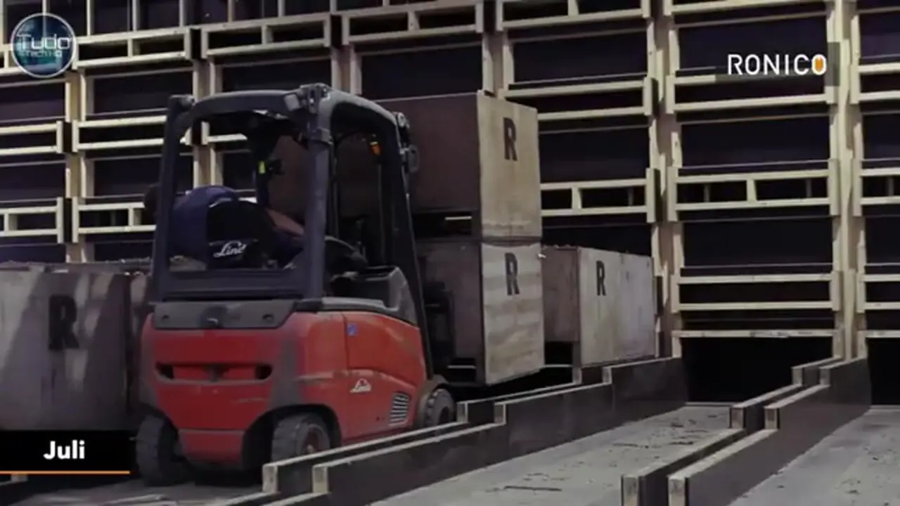 ببینید| چگونه میلیاردها گل لاله در هلند پرورش داده می شود؟