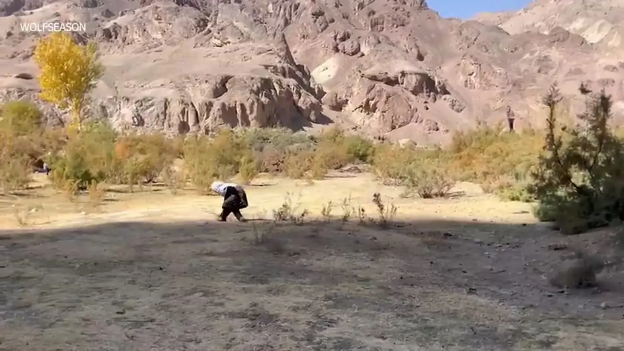 ببینید| غذای روستایی در افغانستان؛ پخت زرشک پلو با مرغ توسط زوج افغان در کنار رودخانه