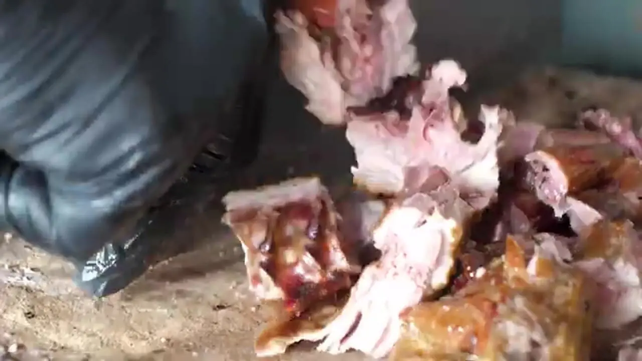 ببینید| غذای خیابانی در مالزی؛ تهیه اردک بریانی در سلانگور