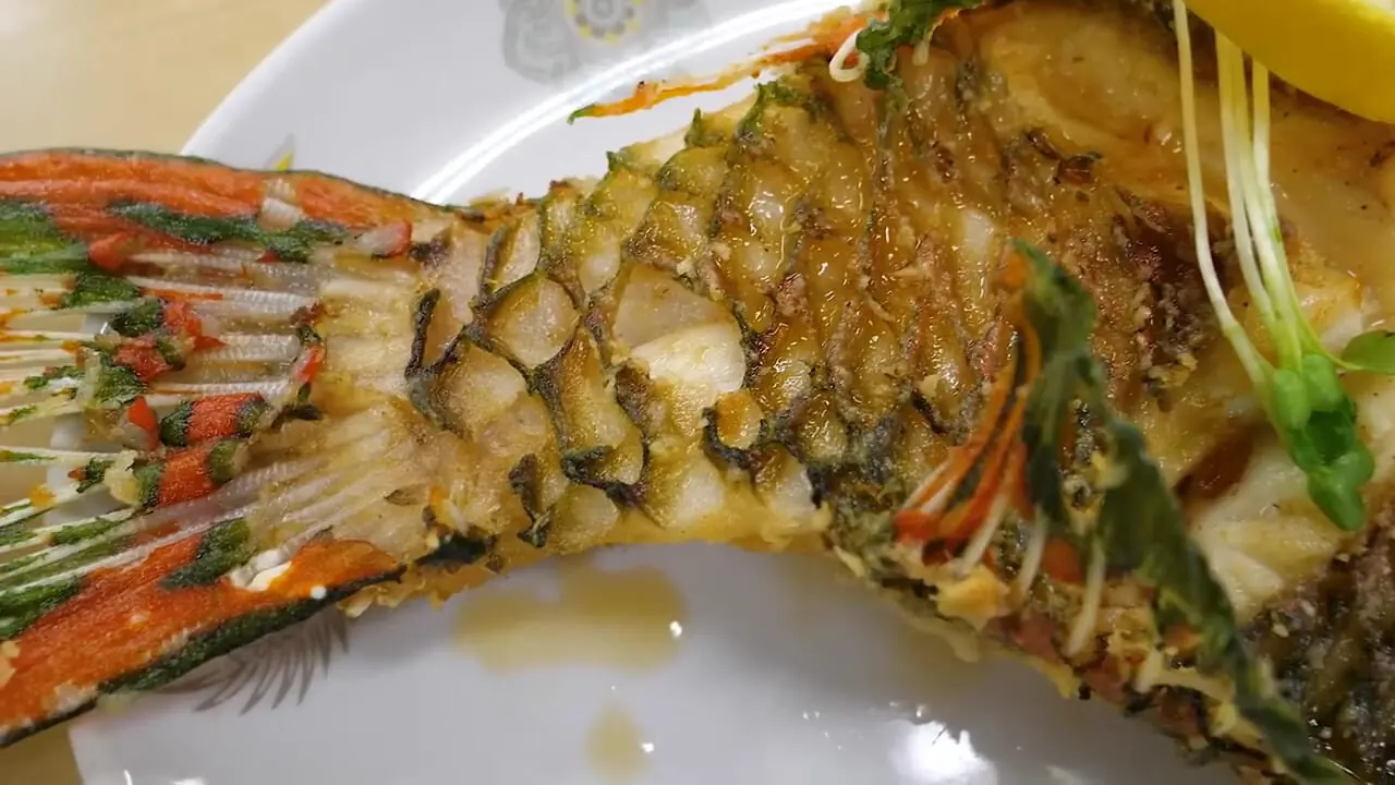 غذای خیابانی در ژاپن؛ تهیه دو نوع غذا با طوطی ماهی در اوکیناوا