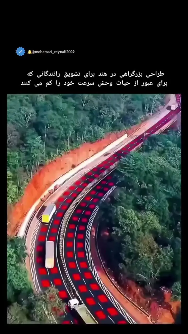 ببینید؛ جاده‌ای که عمداً قرمز شد تا جان ببرها را نجات دهد!