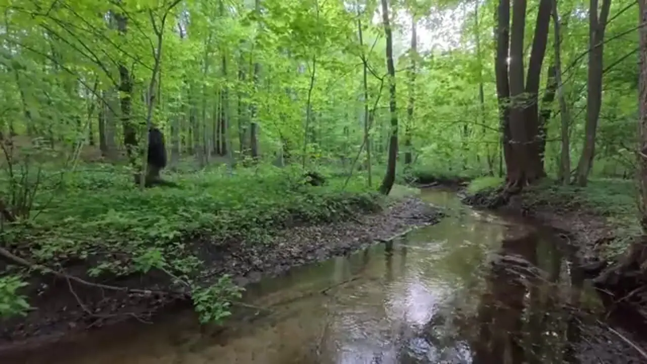 نحوه ساخت یک پناهگاه مخفی در داخل یک درخت توخالی در آلمان