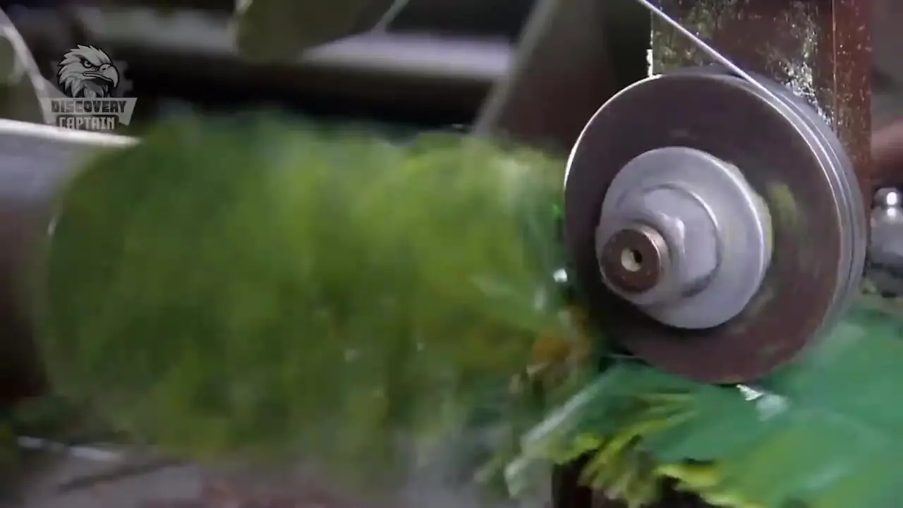 فرآیند دیدنی تولید درخت های کریسمس مصنوعی در آمریکا