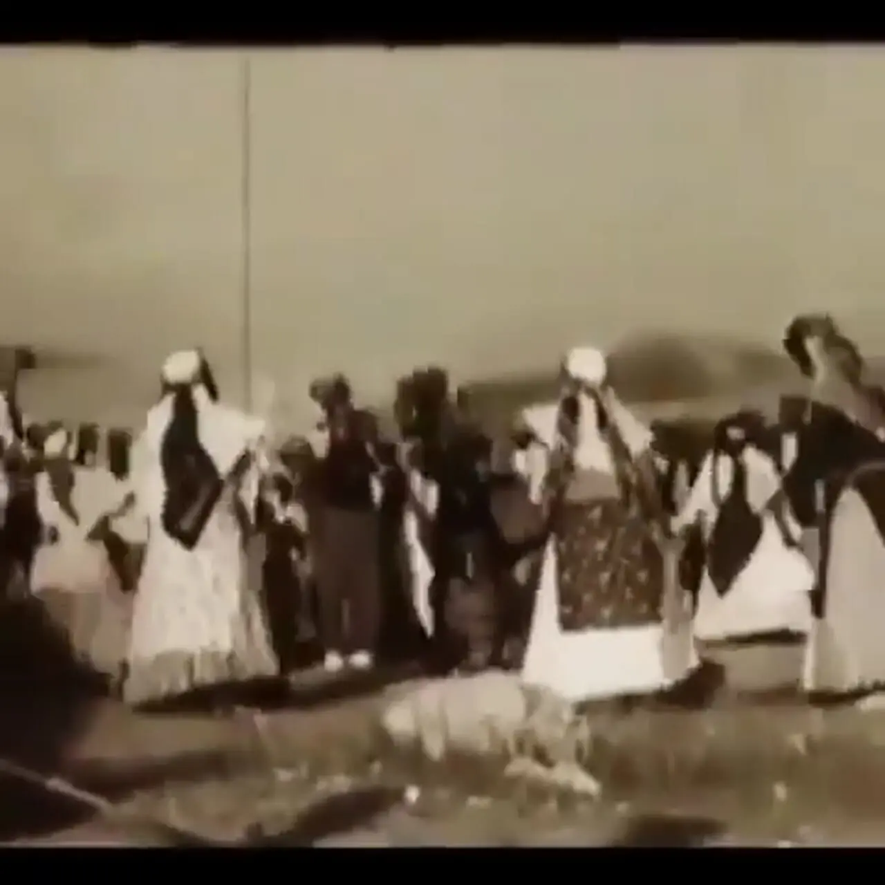 سفر در زمان؛ مراسم عروسی «ملک منصورخان صولت قشقایی»؛ سال 1325