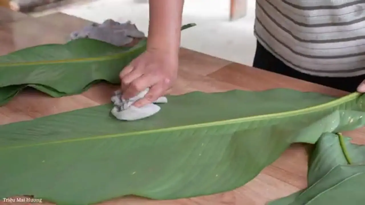 غذای روستایی در ویتنام؛ برداشت پالم و تهیه غذا با آن