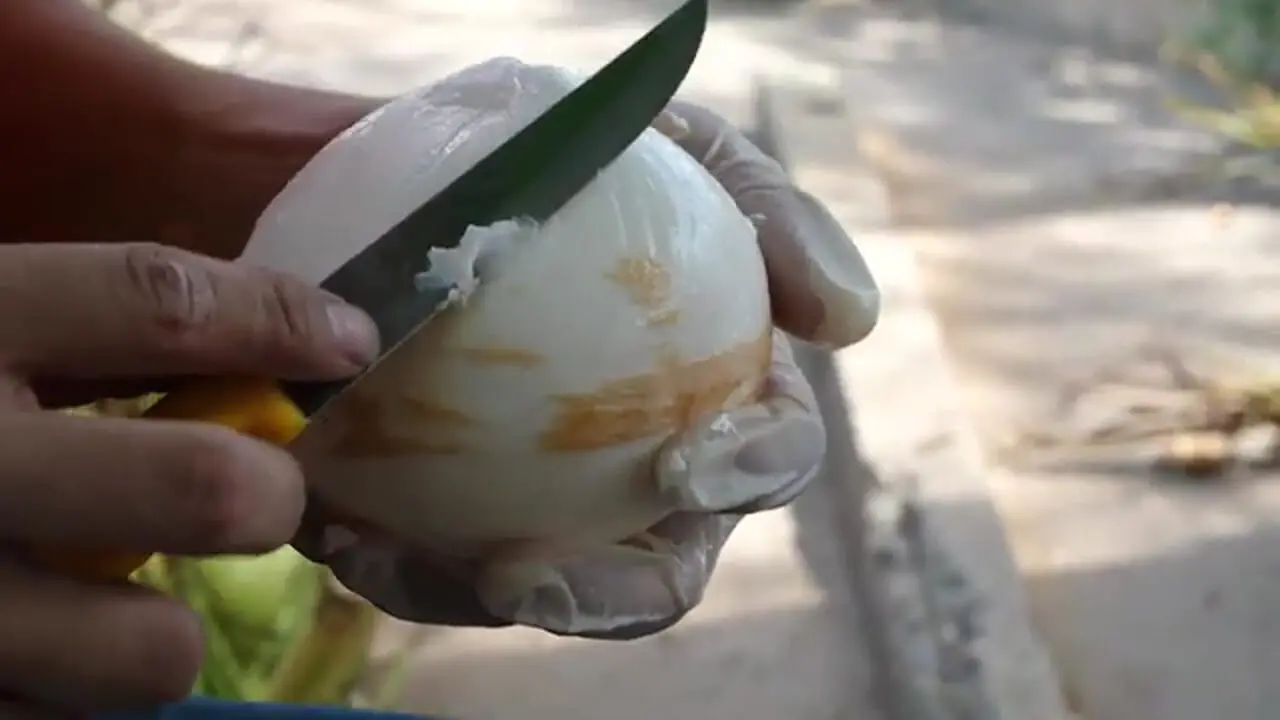 غذای خیابانی در تایلند؛ برش نارگیل و تهیه اسموتی با آن در بانکوک