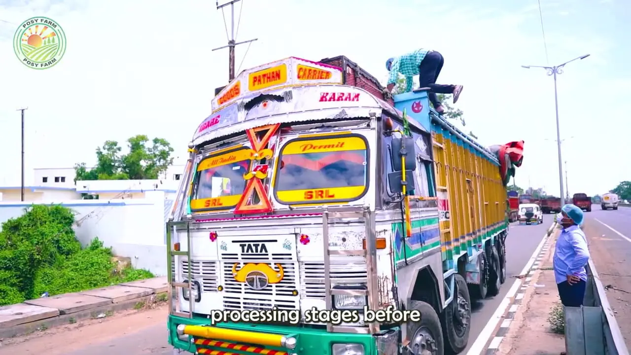 چگونه آمریکایی ها هزاران تن گندم را برداشت و فرآوری می کنند؟