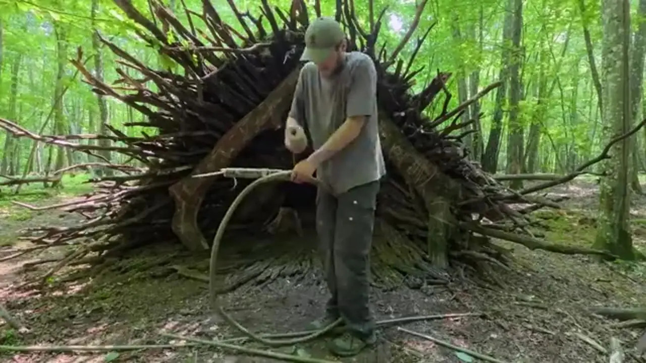 ساخت یک پناهگاه مخفی داخل یک تنه درخت بزرگ در جنگل های آلمان